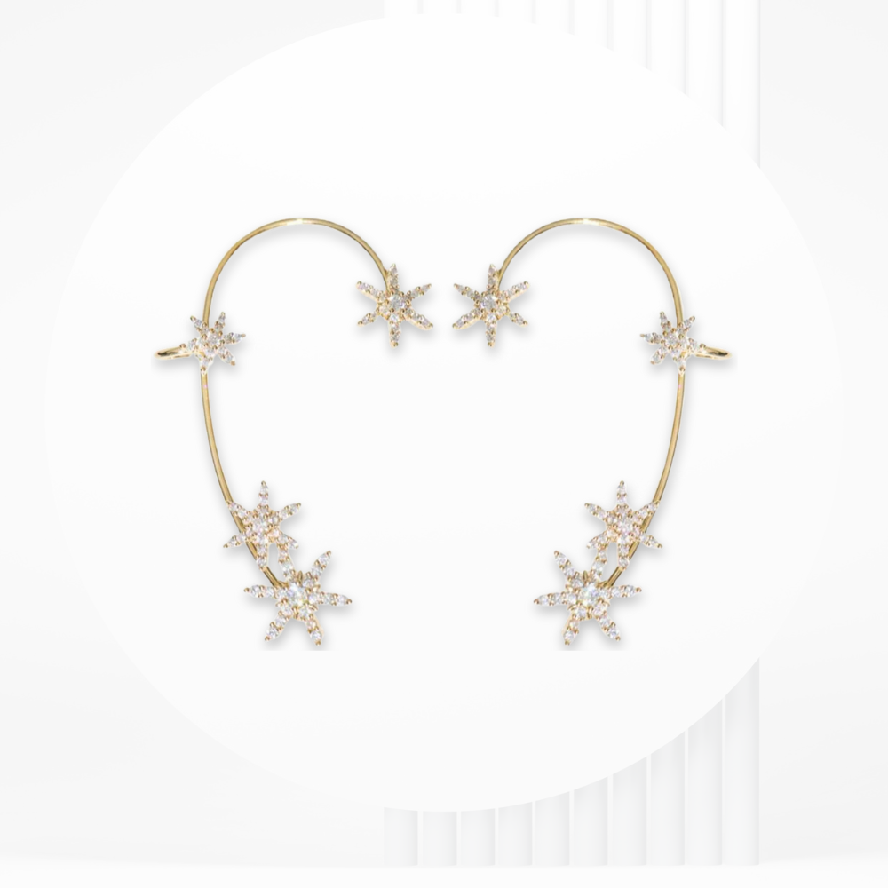 LIVSY | Snowflake Earrings®