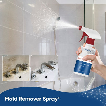 LIVSY | Mold Remover Spray®