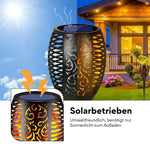 LIVSY | Solar EcoTorch®