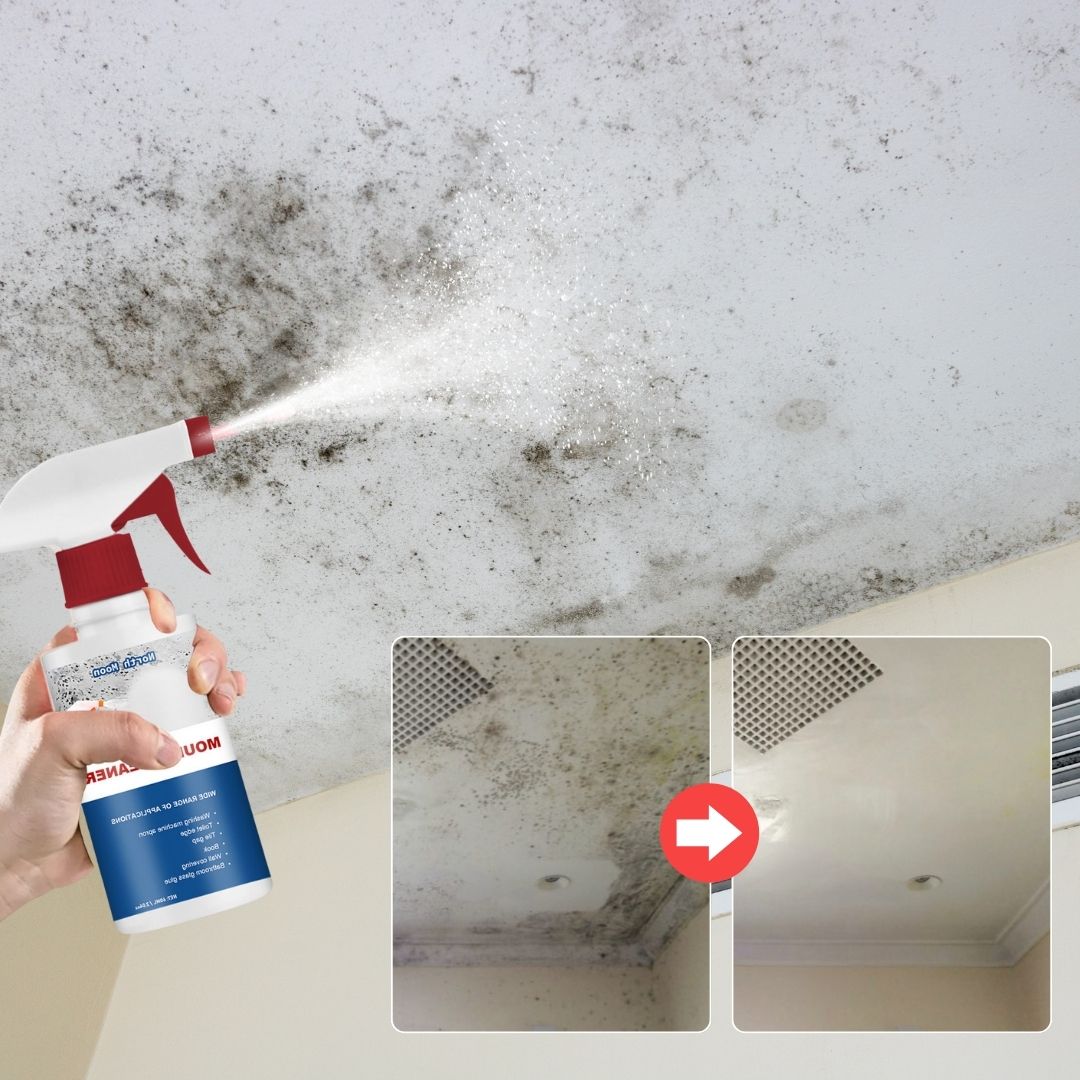 LIVSY | Mold Remover Spray®